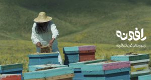 جابجایی کندوهای زنبورهای عسل